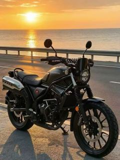 Honda CL300 - photo 5