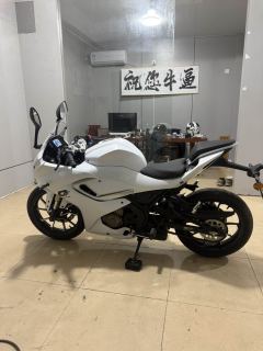 QJMOTOR SRK 250 - photo 2