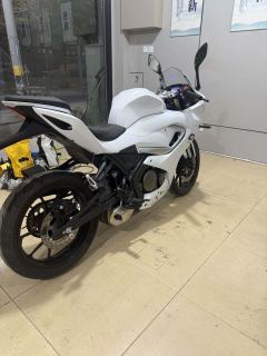 QJMOTOR SRK 250 - photo 4