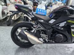 Nuoma Phantom 255S 250 cc - photo 2
