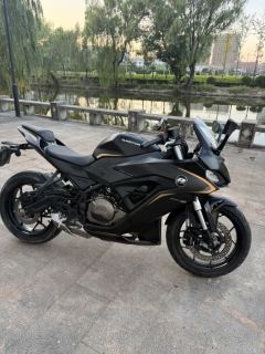 QJMOTOR SRK 250 - photo 4