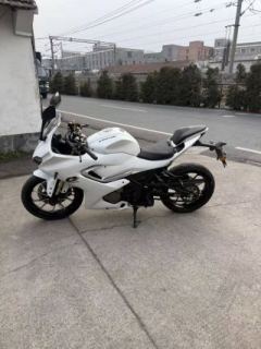QJMOTOR SRK 250 - photo 4