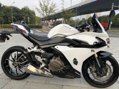 QJMOTOR SRK 450 - фото 4