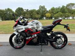 QJMOTOR SRK 250 - photo 1