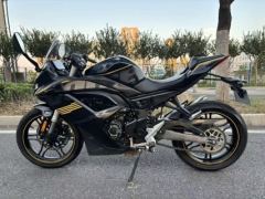 Voge 250RR - фото 1