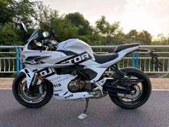 QJMOTOR SRK 550 - photo 1