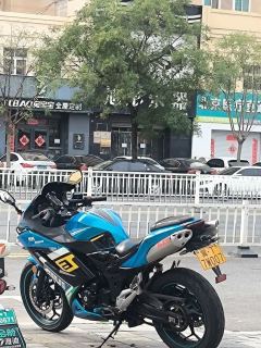 Dalishen H2 400 cc - ფოტო 1