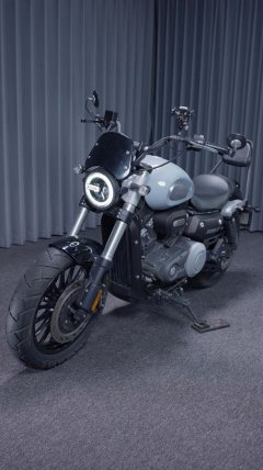 Benda Challenger 300 - фото 2