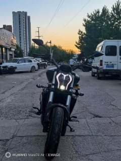 Benelli 502C 500 cc - ფოტო 1