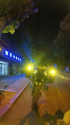 Benelli TRK552 550 cc - ფოტო 9