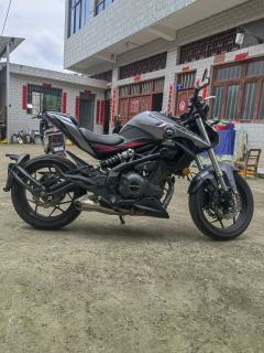 QJMOTOR Chase 350 - ფოტო 2