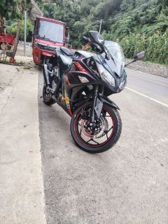 Dalishen Little Tyrant 200 cc - ფოტო 3