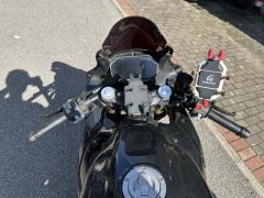 QJMOTOR Sai 600 - photo 4