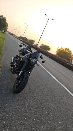 Benelli Lion Cub Leoncino 500 - ფოტო 4