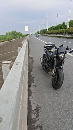 Benelli Lion Cub Leoncino 500 - ფოტო 5