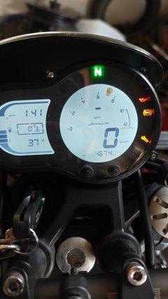 Benelli Lion Cub Leoncino 500 - ფოტო 6