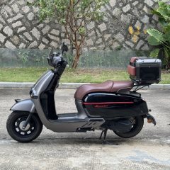 Weiduoliya Sixties 150Si - photo 1