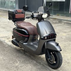 Weiduoliya Sixties 150Si - photo 3