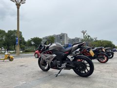 Cyclone RC250 - ფოტო 6