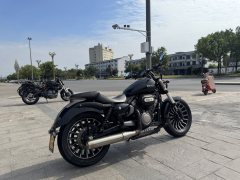 Benda Polestones 03 Gray 300 cc - ფოტო 2