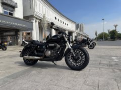 Benda Polestones 03 Gray 300 cc - ფოტო 3