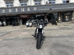 Benda Polestones 03 Gray 300 cc - ფოტო 4