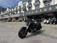 Benda Polestones 03 Gray 300 cc - ფოტო 5