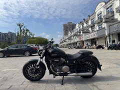 Benda Polestones 03 Gray 300 cc - ფოტო 6
