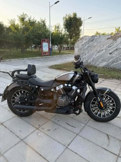 Benda Graystone 250 - ფოტო 1