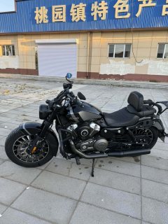 Benda Graystone 250 - ფოტო 4