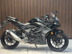 Haojue Suzuki GSX250R - photo 1