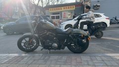 Harley-Davidson Iron883 Tough Guy - ფოტო 1