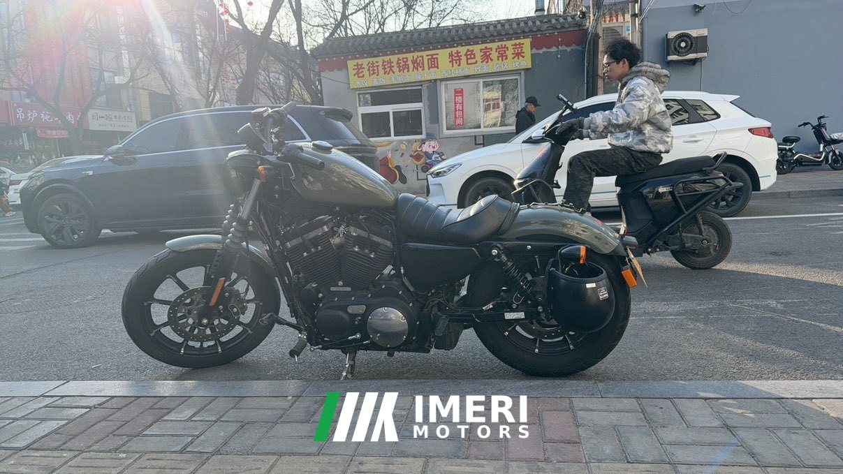 2022 Harley-Davidson Iron883 Tough Guy
