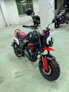 Zongshen Little Bear 150 cc - ფოტო 3
