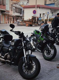 QJMOTOR 300 - ფოტო 4