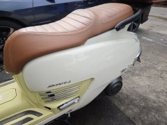 Cyclone RT3E 250 cc - ფოტო 5