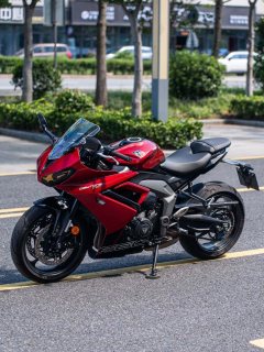 Triumph Daytona 660 - ფოტო 2