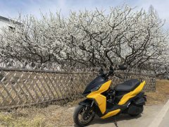 SYM DRG 158 cc - ფოტო 2