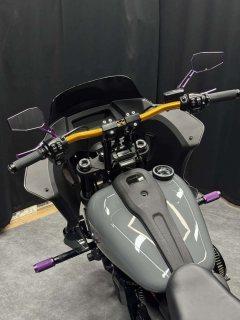 Harley-Davidson Low Rider S 1923 cc - photo 4