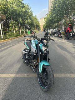 Kayo Cobra 321R 320 cc - ფოტო 2