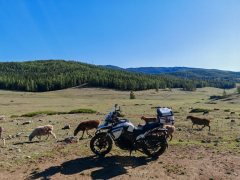 Wuyang Honda CB190X - ფოტო 4