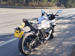 QJMOTOR SRK 250 - ფოტო 2