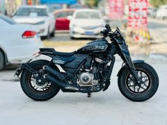 Cyclone AQS401 400 cc - ფოტო 3