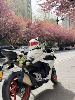 CFMOTO 450SR - ფოტო 3