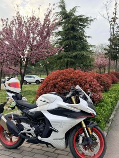 CFMOTO 450SR - ფოტო 4