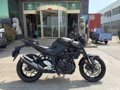 Yamaha MT-03 320 cc - ფოტო 2