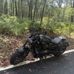 Benelli Harun 402 400 cc - ფოტო 2