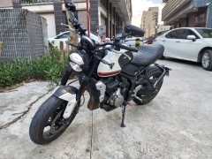 Triumph Trident 660 - ფოტო 2