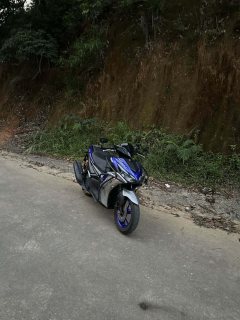 Yamaha AEROSPORTS X 155 cc - photo 2