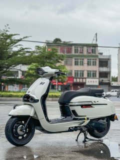 Weiduoliya Sixties 150Si - ფოტო 4